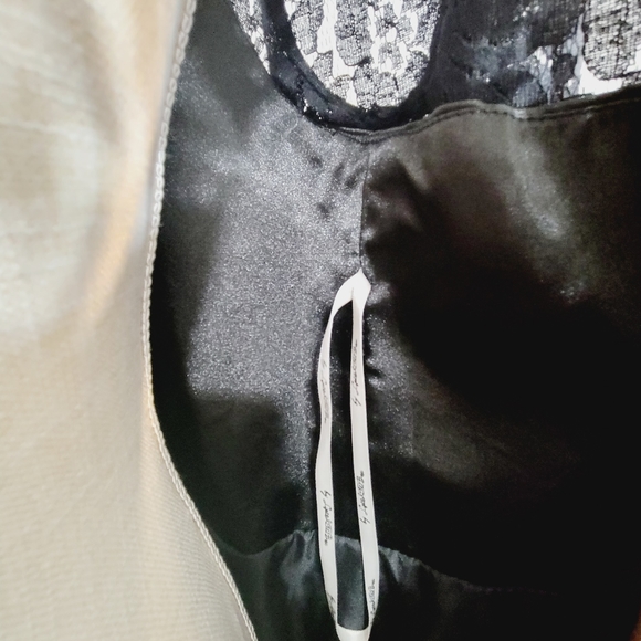 🆕️ Light n the Box Guest Coctail Midi Lace Dress w/Tulle & Pleats sz 18W - Picture 12 of 15